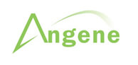 ANGENE INTERNATİONAL 